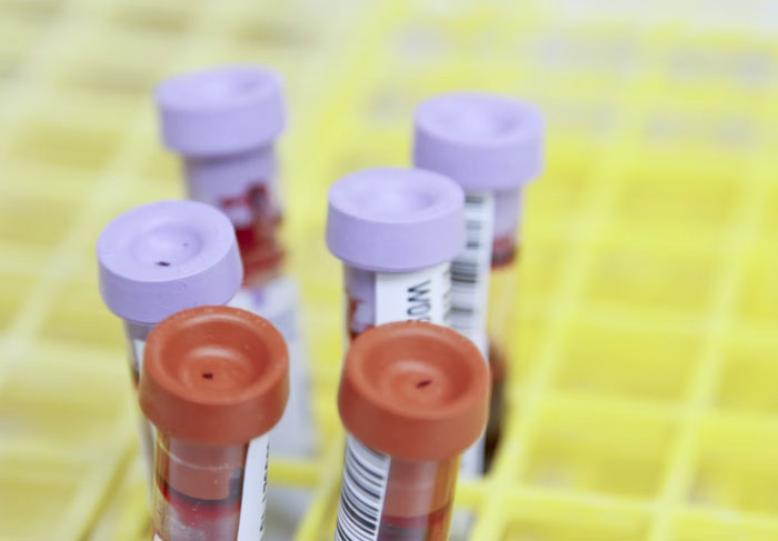 ‘Hoy aprendí’: 30 nuevos datos que demuestran que nunca es tarde para aprender algo nuevo