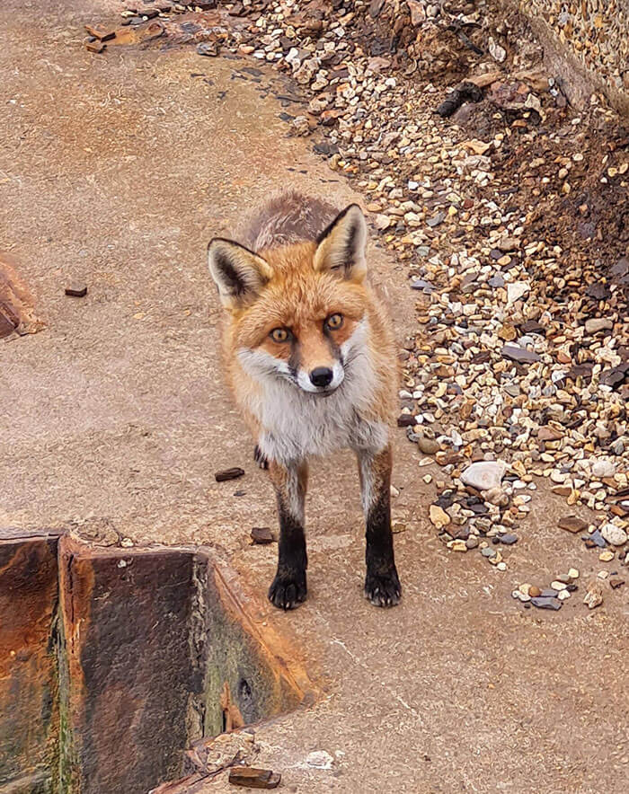 I Spent An Inordinate Amount Taking My 9yo To See The Submarine Museum Today