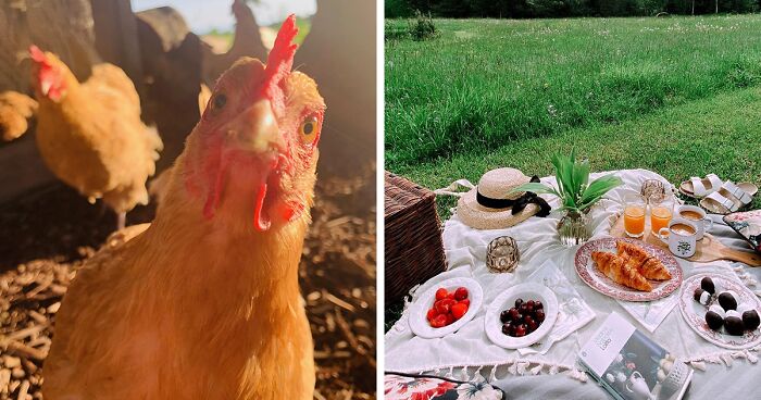 “Tu foto favorita del verano”: 30 imágenes de la comunidad Bored Panda