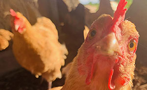 “Your Favorite Summer Photo”: 40 Pics By Bored Panda’s Community