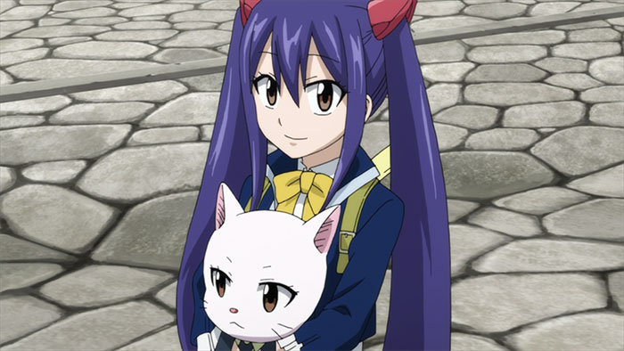 Anime girl with long purple hair holding a white cat, representing favorite female anime characters.