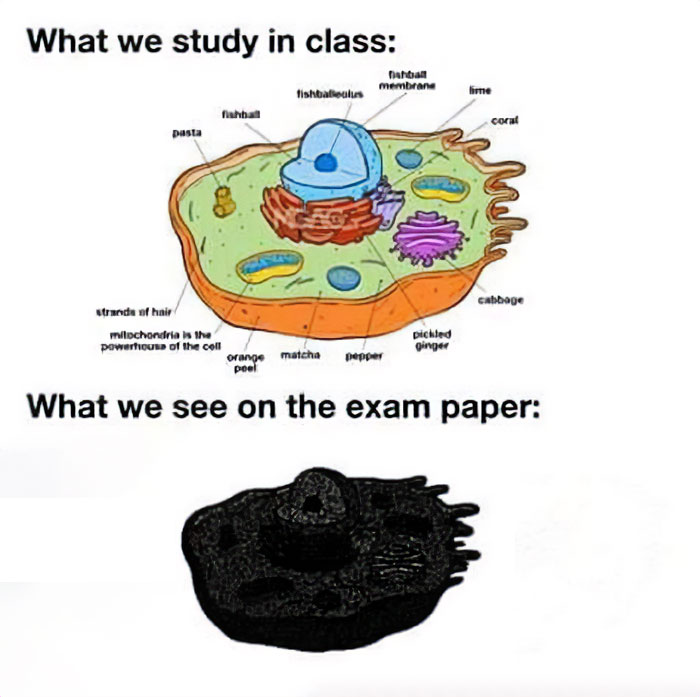 Funny-Clever-Science-Memes