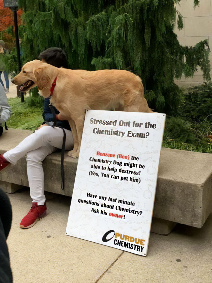 Funny-Clever-Science-Memes