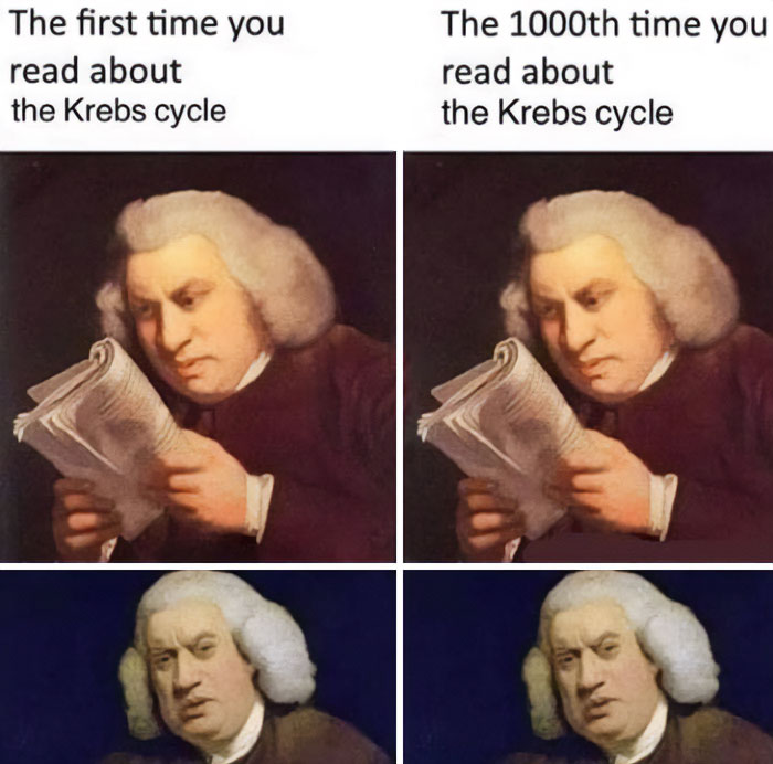 Funny-Clever-Science-Memes