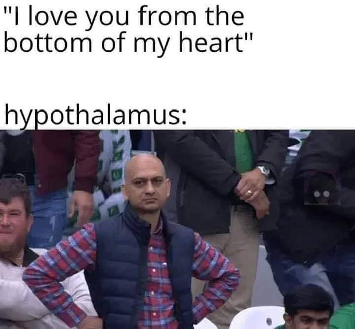 Funny-Clever-Science-Memes