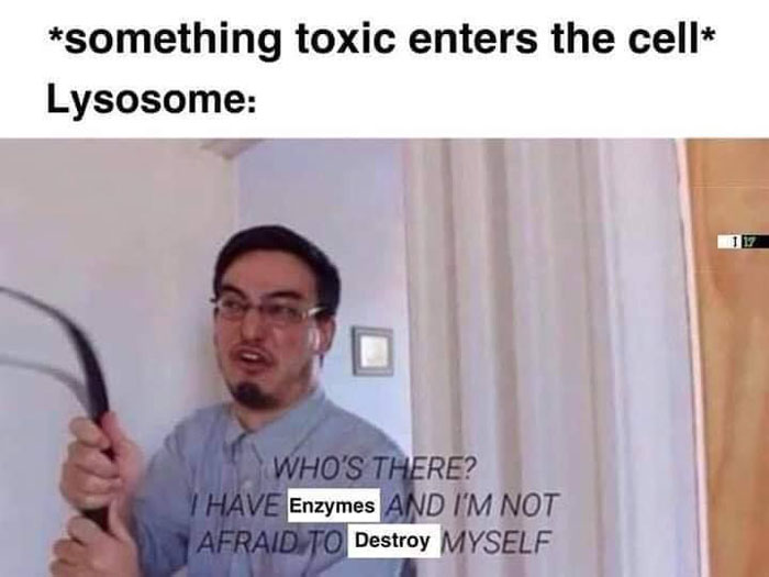 Funny-Clever-Science-Memes