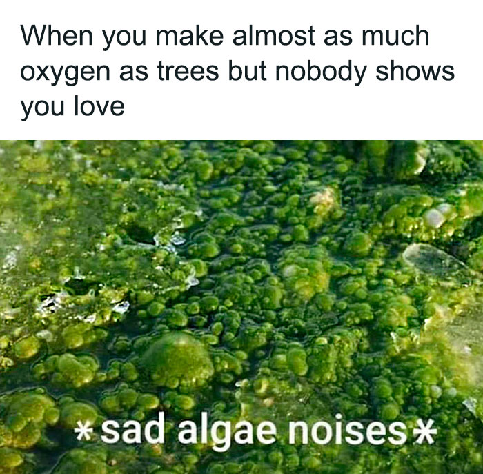 Funny-Clever-Science-Memes