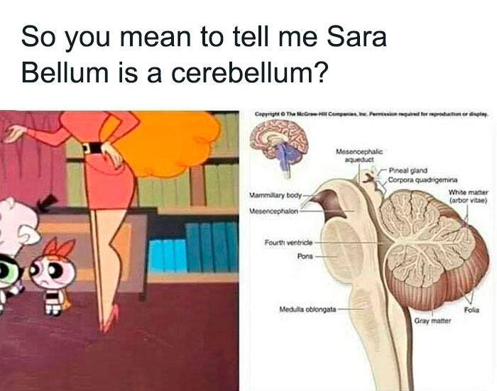 Funny-Clever-Science-Memes