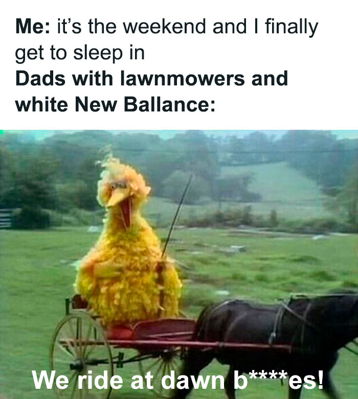 Gallery Of 2 Images.
the Lawn Isn’t Gonna Cut Itself. Tap To Buy The Shirt 🍻