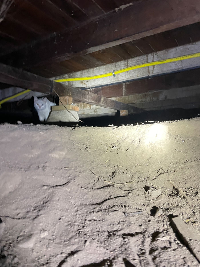 Funny-Dangerous-Structure-Fails