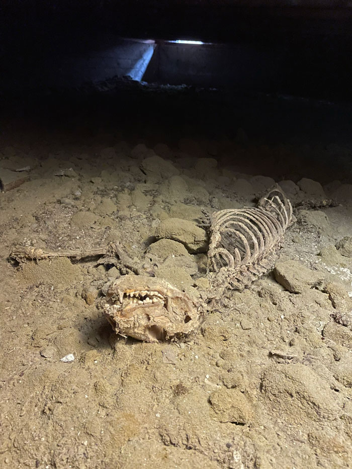 Funny-Dangerous-Structure-Fails