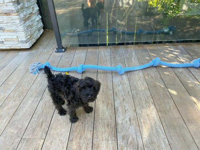 Peppa crecerá con el tiempo