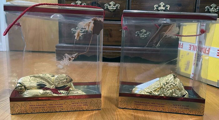 I Ordered Two 1 Kg Chocolate Bunnies From The UK 