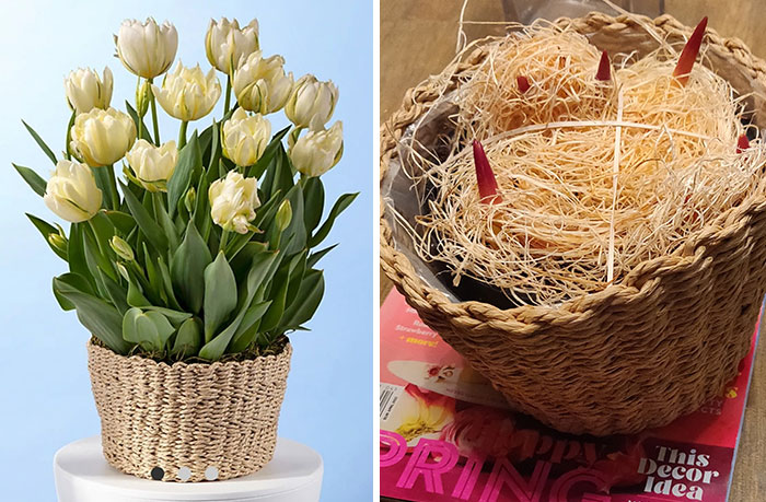 What I Ordered For Mother's Day vs. What Arrived. At Least Mom Had A Good Sense Of Humor About It