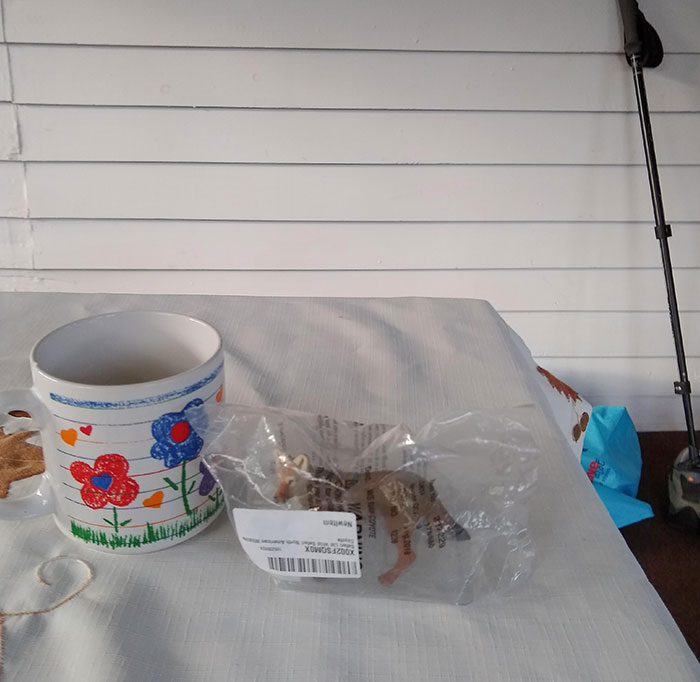 Mi esposa pidió un falso depredador disuasivo de jardín para nuestro problema de gansos sin comprobar las dimensiones