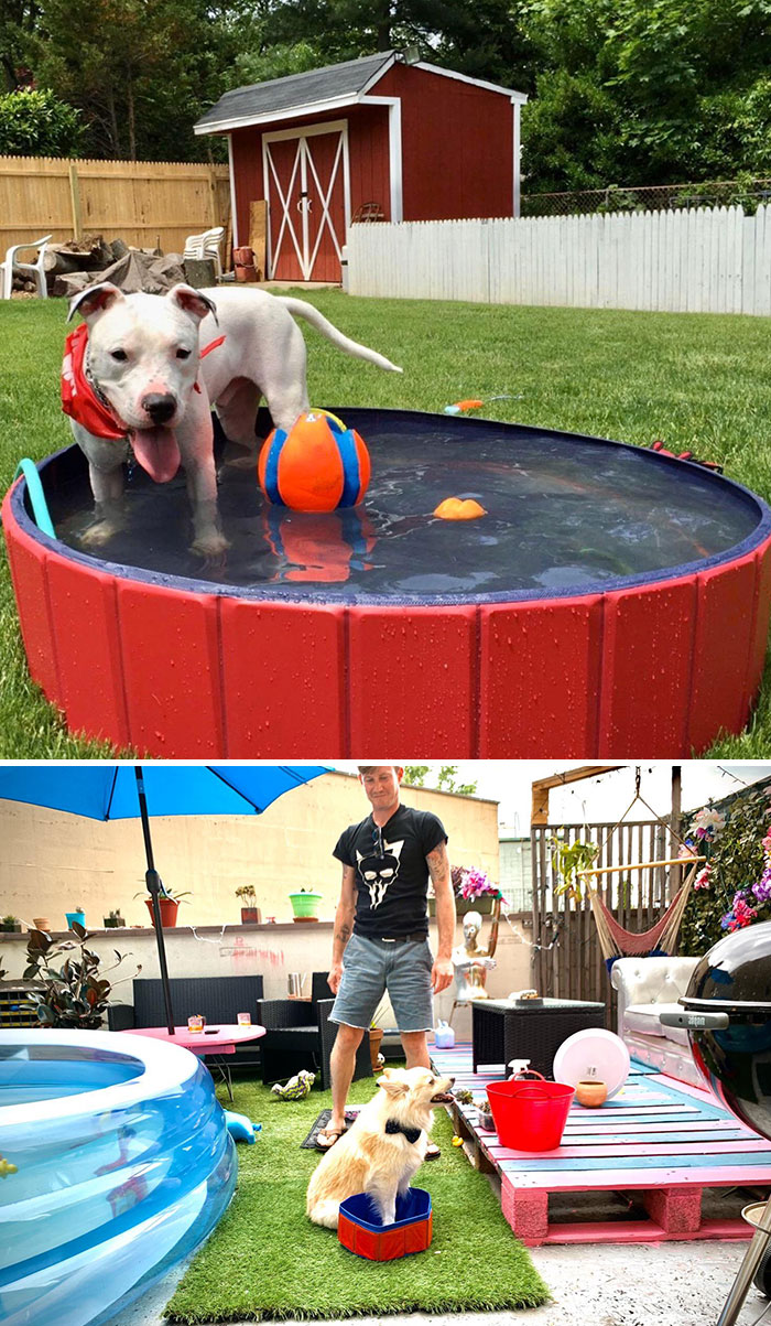 Esperé un mes para esto. Mi perro no estaba impresionado