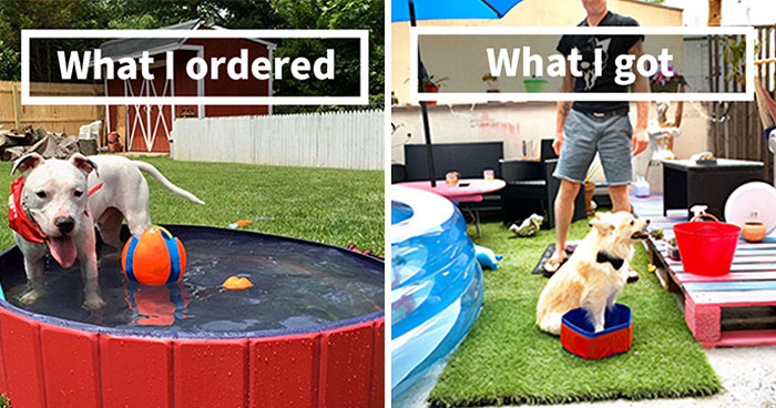40 Hilarious Times People Ordered Something Online But It Wasn’t What They Received (New Pics)