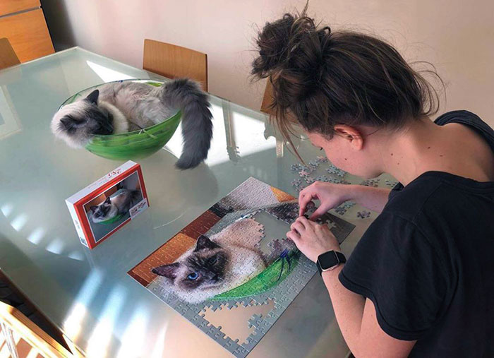 My Friend Got Her Sister The Greatest Birthday Present I’ve Ever Seen