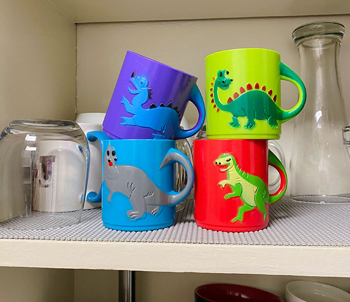 I Asked My Husband To Buy Some Cheap Plastic Drinking Cups So That We Don’t Always Have To Drink From Glass Cups And Potentially Break Them While Handling Them