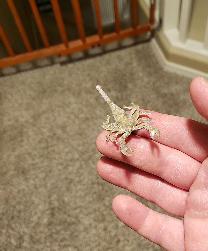 Left This 3D Printed Glow In The Dark Masterpiece On My Wife's Pillow. Also, On A Related Note, Sleeping On The Couch Tonight