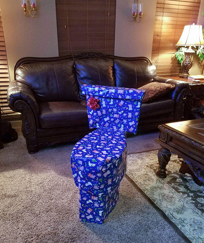 Every Year I Try To Disguise My Sister's Christmas Present. This Year I Think I Went A Little Too Far
