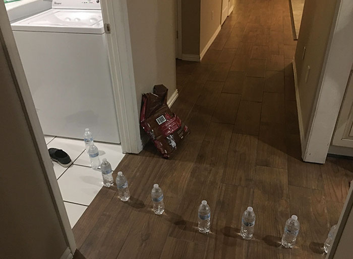 Mis hijos vinieron y me dijeron que había agua en la lavandería. Dijeron que parecía que empezaba en la lavadora. Fui corriendo para encontrar esto