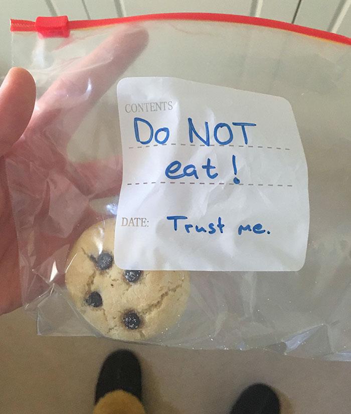 There Were Two Edibles In Here Last Night. Someone In My Family Is Having An Interesting Day