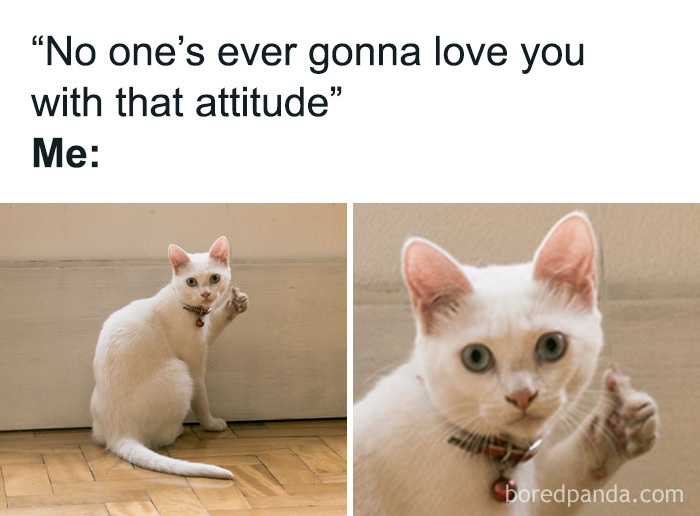 Funny-Introvert-Memes