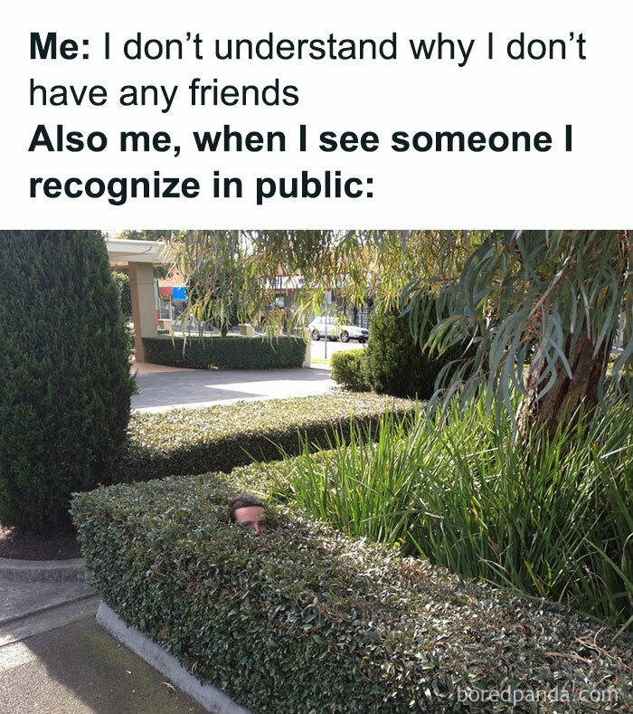 Funny-Introvert-Memes