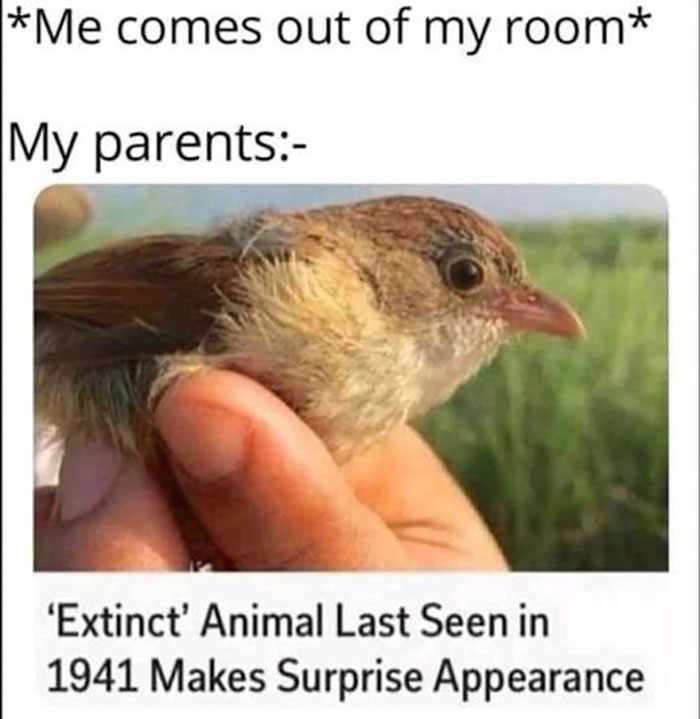 Funny-Introvert-Memes