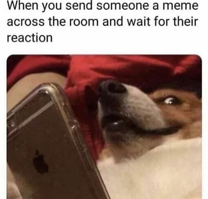 Funny-Introvert-Memes