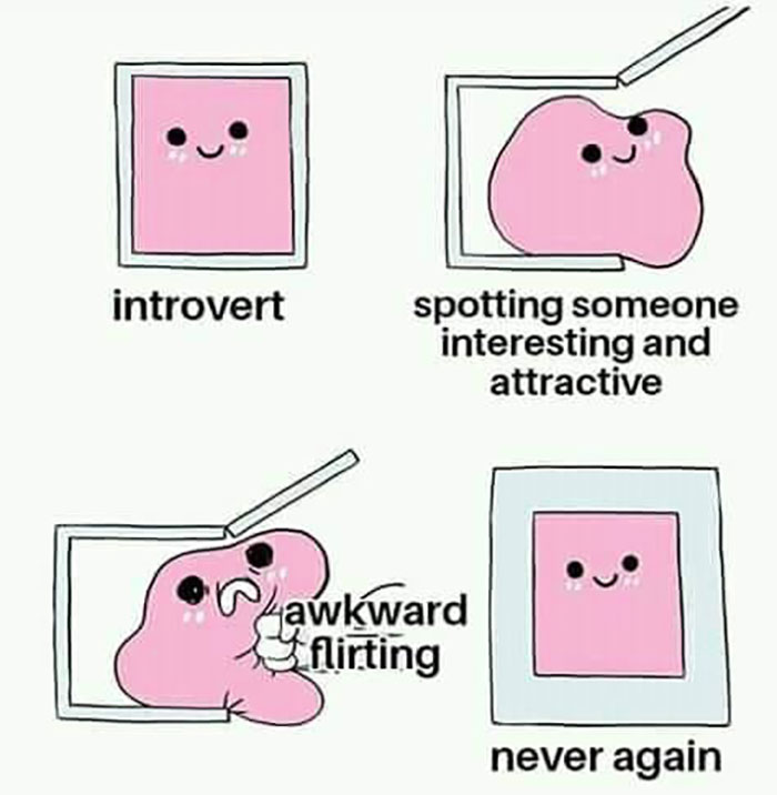 Funny-Introvert-Memes