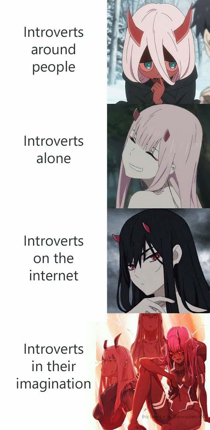 Funny-Introvert-Memes