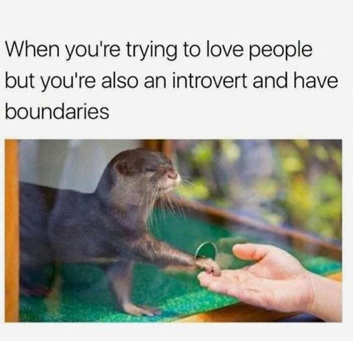 Funny-Introvert-Memes