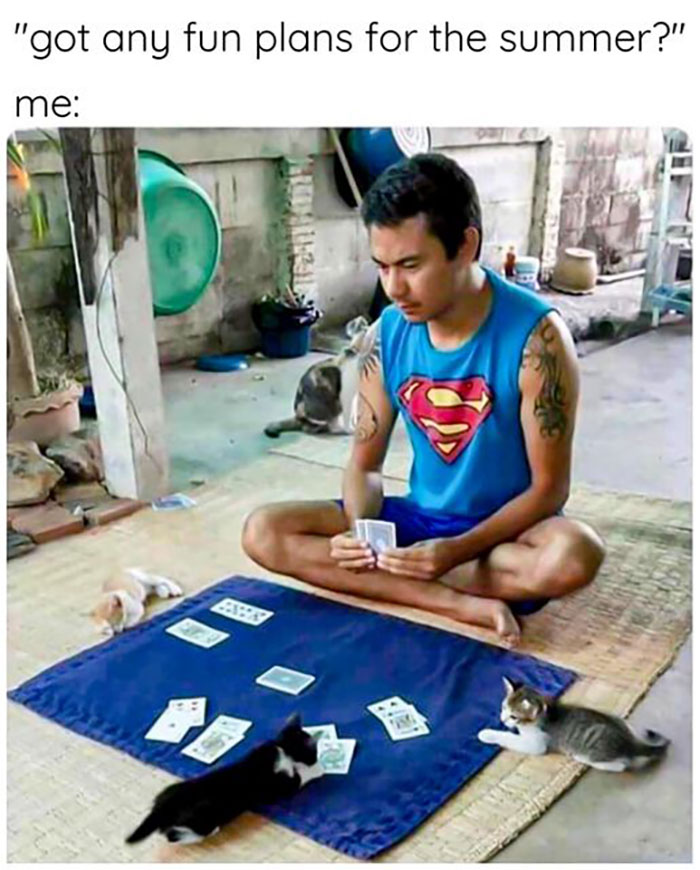 Funny-Introvert-Memes