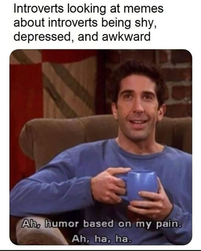 Funny-Introvert-Memes