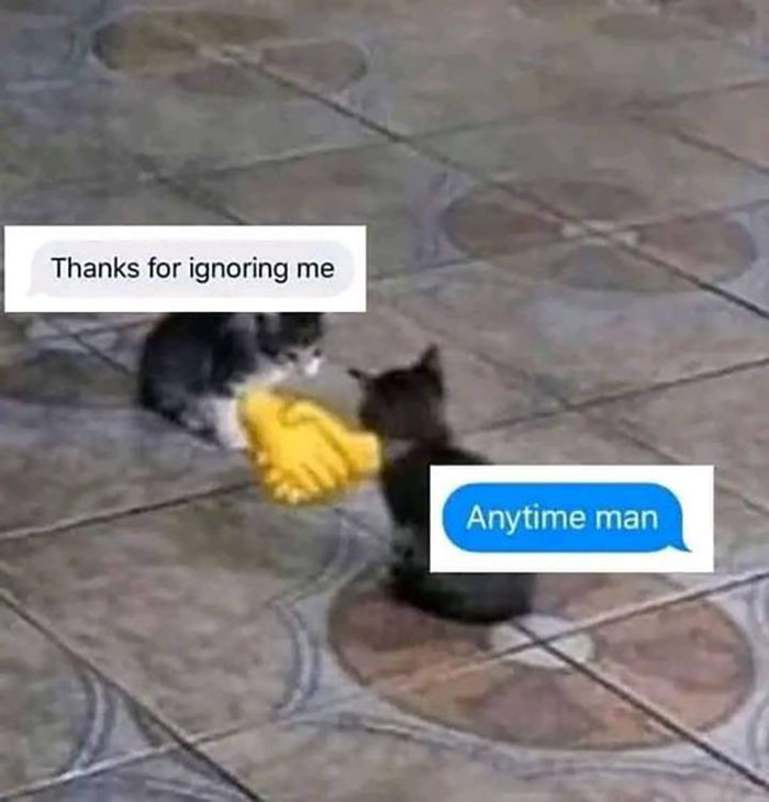 Funny-Introvert-Memes