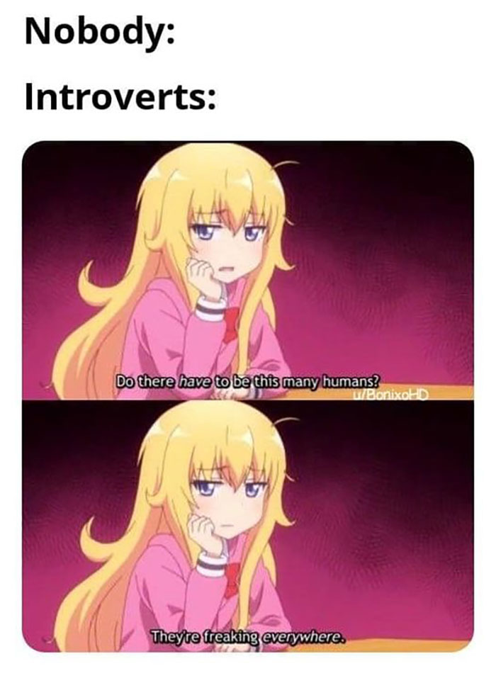 Funny-Introvert-Memes