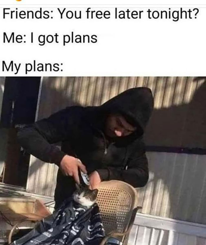 Funny-Introvert-Memes