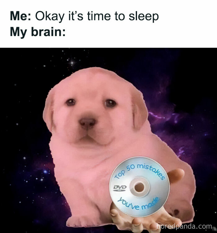 Funny-Introvert-Memes