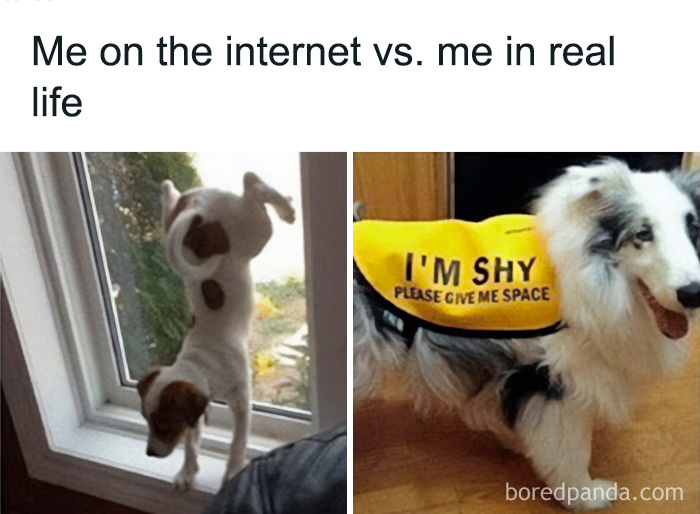 Funny-Introvert-Memes