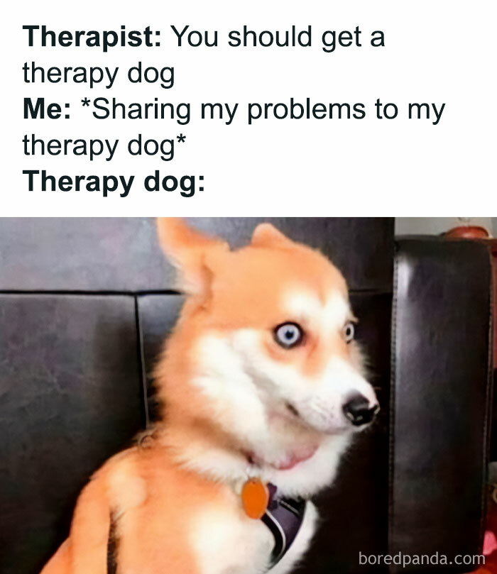 Funny-Introvert-Memes