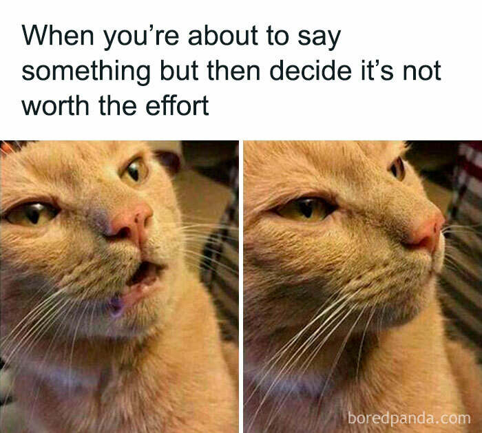 Funny-Introvert-Memes