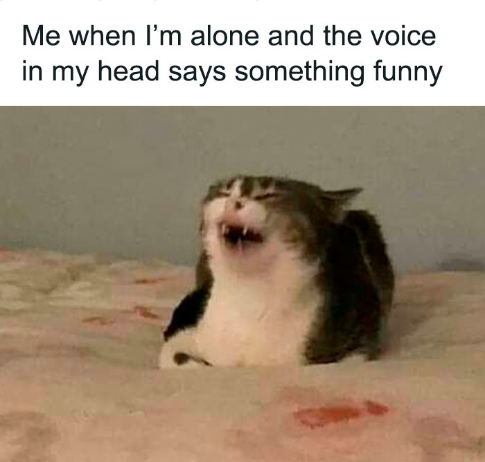 Funny-Introvert-Memes