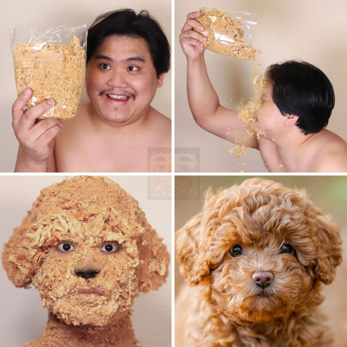 Man cosplay brown dog