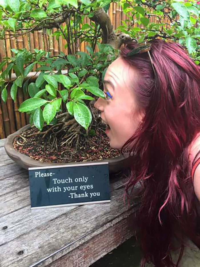 Touch With Eyes Only, Thank You