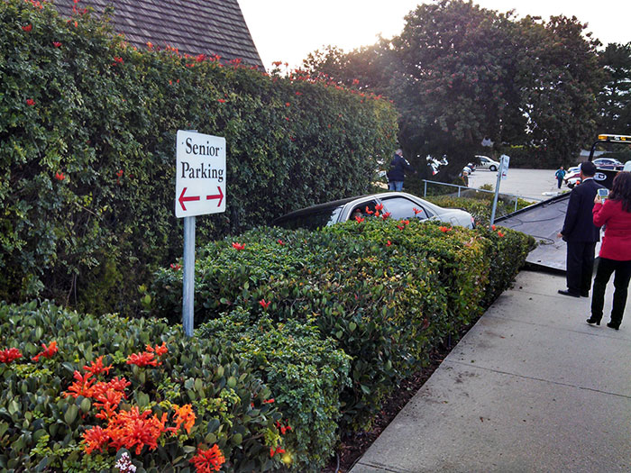 Taking A Sign Too Literally