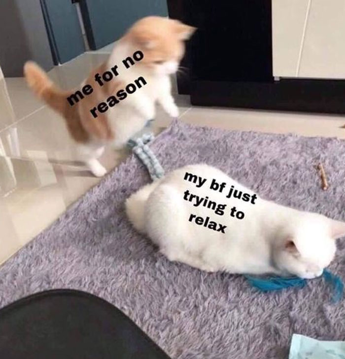 Funny-Relationship-Memes