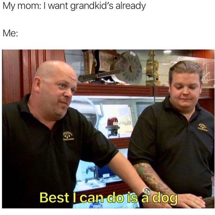 Funny-Sarcastic-Memes