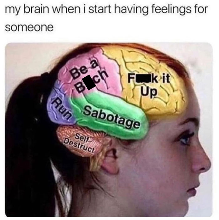 Funny-Sarcastic-Memes